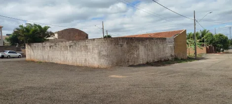 imagem 2 - Chácara à venda na Warta com 2 piscinas e 2 banheiros imagem 2 - Chácara à venda na Warta com 2 piscinas e 2 banheiros
