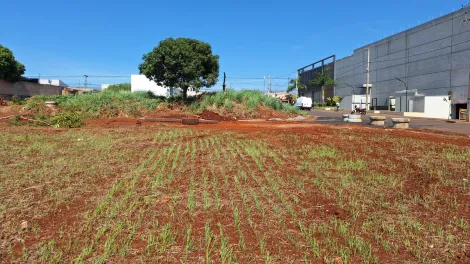imagem 4 - Terreno - Comercial imagem 4 - Terreno - Comercial