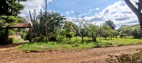 imagem 2 - Chácara à Venda com 5.000m² no Parque Dom Pedro I - em Londrina imagem 2 - Chácara à Venda com 5.000m² no Parque Dom Pedro I - em Londrina