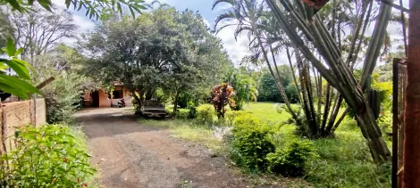 imagem 5 - Chácara à Venda com 5.000m² no Parque Dom Pedro I - em Londrina imagem 5 - Chácara à Venda com 5.000m² no Parque Dom Pedro I - em Londrina