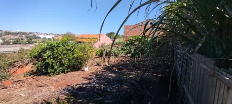 imagem 5 - Terreno Residencial à venda no Jardim São Paulo em Londrina imagem 5 - Terreno Residencial à venda no Jardim São Paulo em Londrina