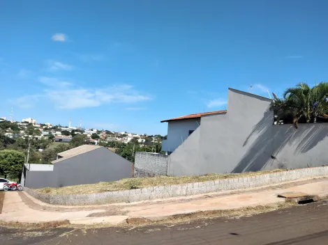 imagem 2 - Terreno - Padrão imagem 2 - Terreno - Padrão