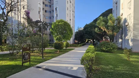 imagem 3 - Apartamento para alugar e vender no Edifício Quinta da Boa Vista, Bairro Claudia, Região Sul de Londrina com 3 quartos sendo 1 suíte. imagem 3 - Apartamento para alugar e vender no Edifício Quinta da Boa Vista, Bairro Claudia, Região Sul de Londrina com 3 quartos sendo 1 suíte.