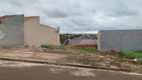 imagem 3 - Terreno para venda no Jardim Maria Luiza na Região Norte imagem 3 - Terreno para venda no Jardim Maria Luiza na Região Norte