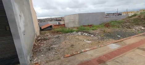 imagem 4 - Terreno para venda no Jardim Maria Luiza na Região Norte imagem 4 - Terreno para venda no Jardim Maria Luiza na Região Norte