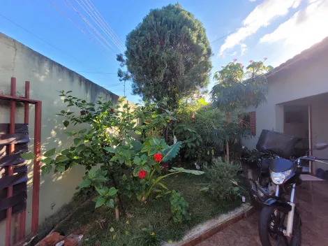 imagem 3 - Casa com Edícula à Venda no Jardim Imagawa, Zona Norte de Londrina imagem 3 - Casa com Edícula à Venda no Jardim Imagawa, Zona Norte de Londrina