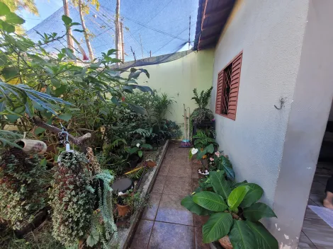 imagem 4 - Casa com Edícula à Venda no Jardim Imagawa, Zona Norte de Londrina imagem 4 - Casa com Edícula à Venda no Jardim Imagawa, Zona Norte de Londrina