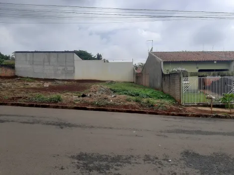 imagem 1 - Terreno - Padrão imagem 1 - Terreno - Padrão