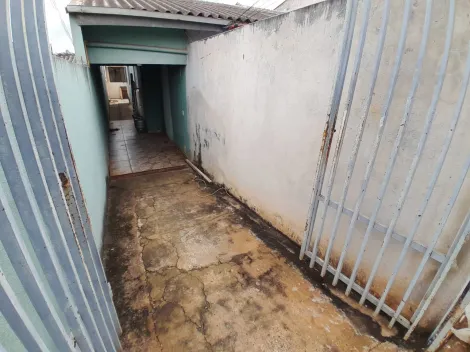 imagem 2 - Casa de Fundos para alugar com 1 quarto na Região Norte de Londrina imagem 2 - Casa de Fundos para alugar com 1 quarto na Região Norte de Londrina