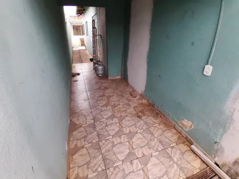 imagem 3 - Casa de Fundos para alugar com 1 quarto na Região Norte de Londrina imagem 3 - Casa de Fundos para alugar com 1 quarto na Região Norte de Londrina