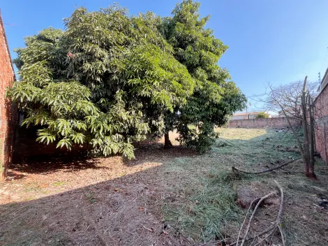 imagem 4 - Terreno ZC-3 à venda com 360 m² à venda no bairro Aeroporto em Londrina imagem 4 - Terreno ZC-3 à venda com 360 m² à venda no bairro Aeroporto em Londrina