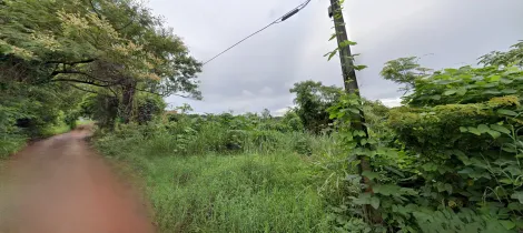 imagem 5 - Terreno à venda com 4.100m² na Gleba Lindóia, região Leste de Londrina imagem 5 - Terreno à venda com 4.100m² na Gleba Lindóia, região Leste de Londrina