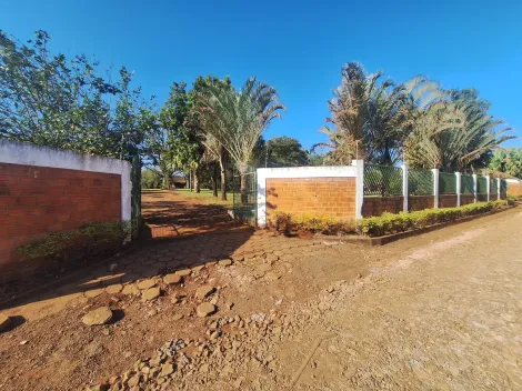 imagem 1 - Chácara para alugar com 2 quartos e piscina na Região Leste de Londrina imagem 1 - Chácara para alugar com 2 quartos e piscina na Região Leste de Londrina