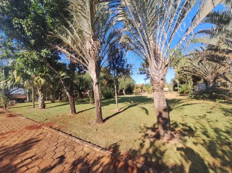 imagem 2 - Chácara para alugar com 2 quartos e piscina na Região Leste de Londrina imagem 2 - Chácara para alugar com 2 quartos e piscina na Região Leste de Londrina