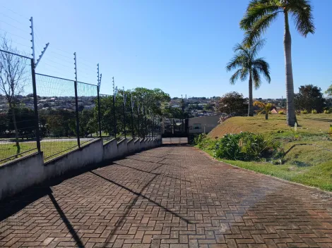 imagem 3 - Barracão para locação na Zona norte de Londrina, Próximo ao Vivi Xavier imagem 3 - Barracão para locação na Zona norte de Londrina, Próximo ao Vivi Xavier