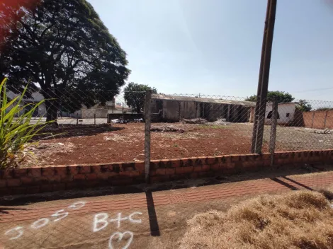 imagem 1 - Terreno - Padrão imagem 1 - Terreno - Padrão