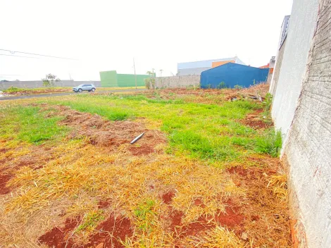 imagem 2 - Terreno para venda na Zona Sul, em Arapongas com 252m² imagem 2 - Terreno para venda na Zona Sul, em Arapongas com 252m²
