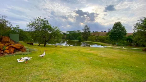 imagem 5 - Terreno à Venda no Condomínio Royal Forest, Zona Sul de Londrina imagem 5 - Terreno à Venda no Condomínio Royal Forest, Zona Sul de Londrina