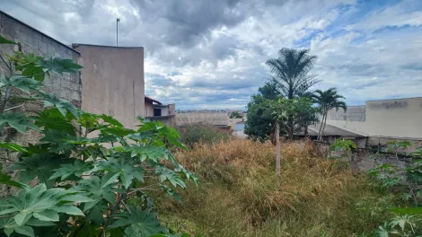 imagem 4 - Terreno à venda próximo à Universidade Estadual de Londrina com 250m² na Região Oeste de Londrina imagem 4 - Terreno à venda próximo à Universidade Estadual de Londrina com 250m² na Região Oeste de Londrina