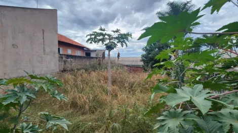 imagem 5 - Terreno à venda próximo à Universidade Estadual de Londrina com 250m² na Região Oeste de Londrina imagem 5 - Terreno à venda próximo à Universidade Estadual de Londrina com 250m² na Região Oeste de Londrina