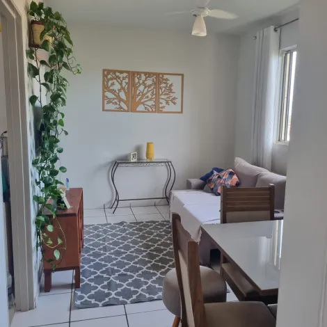 imagem 3 - Apartamento - Padrão imagem 3 - Apartamento - Padrão
