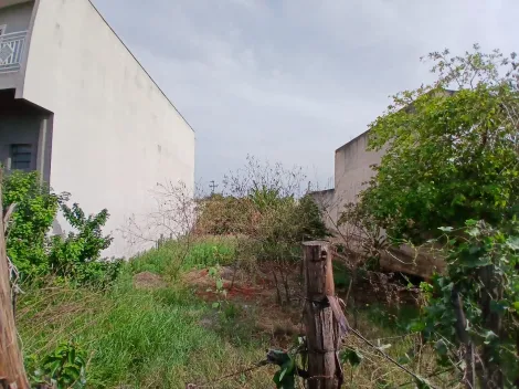 imagem 3 - Terreno - Padrão imagem 3 - Terreno - Padrão