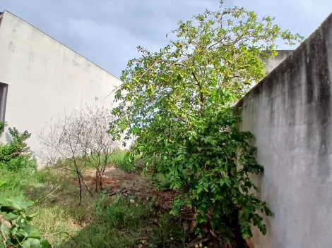 imagem 5 - Terreno - Padrão imagem 5 - Terreno - Padrão