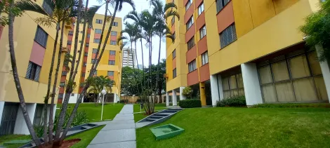 imagem 1 - Apartamento com 3 Dormitórios  para Venda com 79m2 Privativos imagem 1 - Apartamento com 3 Dormitórios  para Venda com 79m2 Privativos